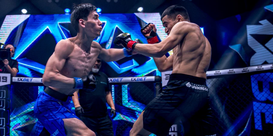Бой тяжеловесов на OCTAGON 85 завершился досрочно
