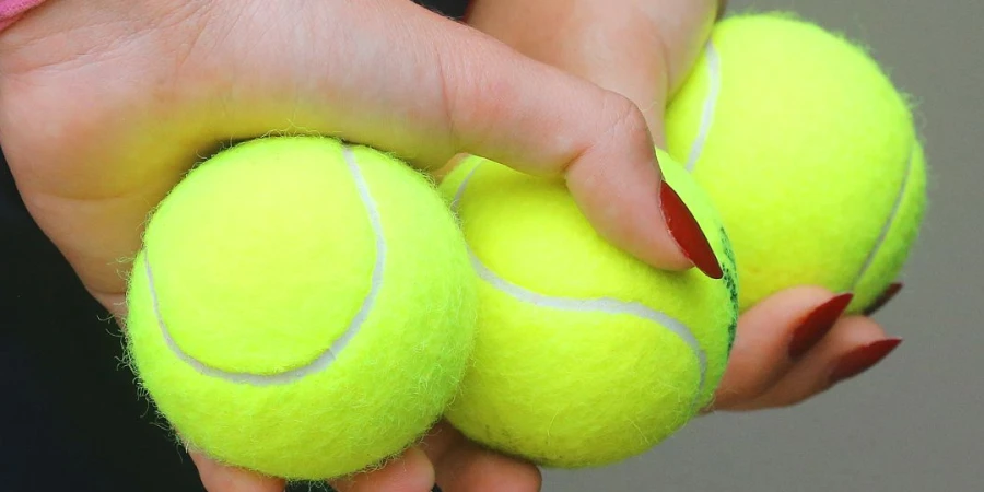 WTA отреагировала на ситуацию с конфиденциальностью игроков на Australian Open-2026