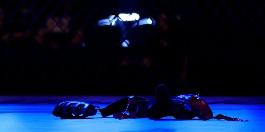 Турнир UFC в Канаде повторил рекорд лиги по числу нокаутов