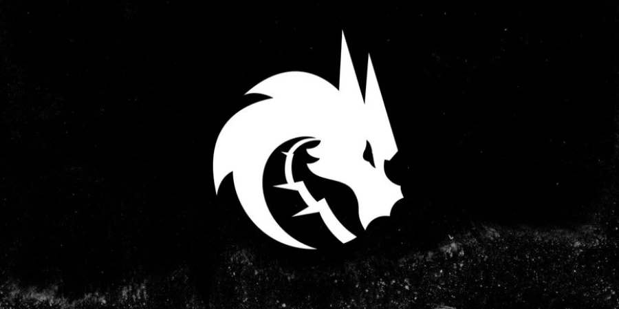 Менеджер NAVI назвала главное качество игрока академии Team Spirit