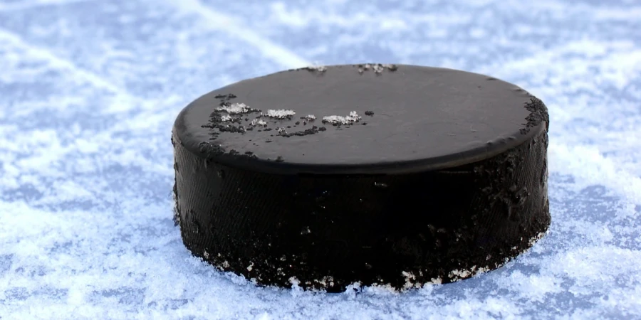 Российский комментатор оскорбил казахстанских хоккеистов