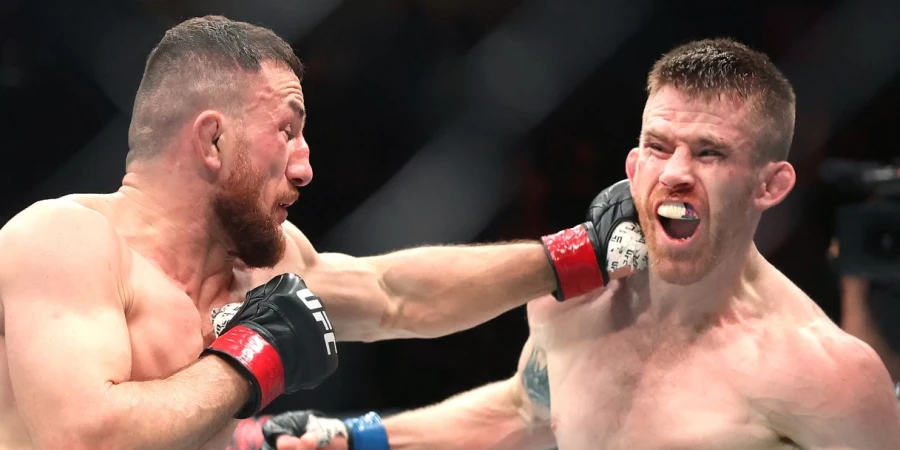 Получивший от чемпиона UFC, Двалишвили, файтер замахал кулаками после драки