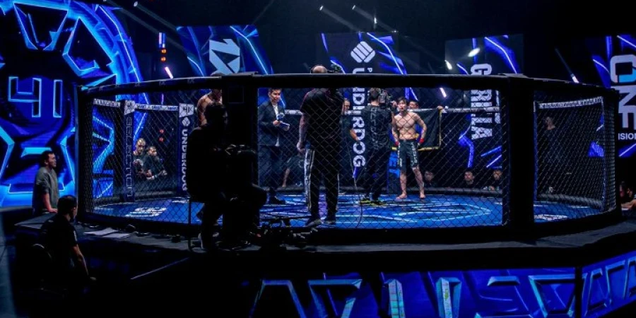 Қазақстан мен Өзбекстан арасындағы айқастың жеңімпазы белгілі болды
