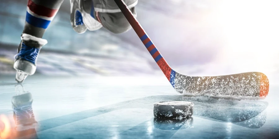 Кромешная темнота не позволила провести хоккейный матч в Казахстане (видео)