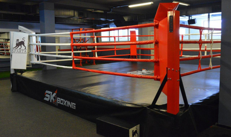 3 ноября пройдет VII турнир SK Boxing