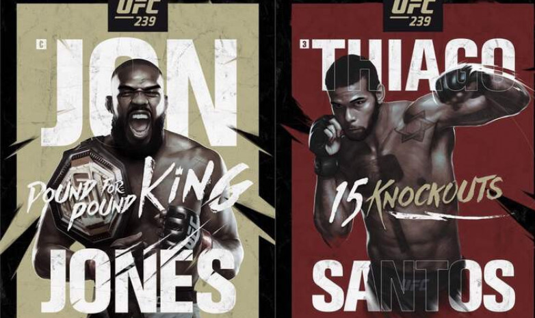 Официальные доходы участников турнира UFC 239