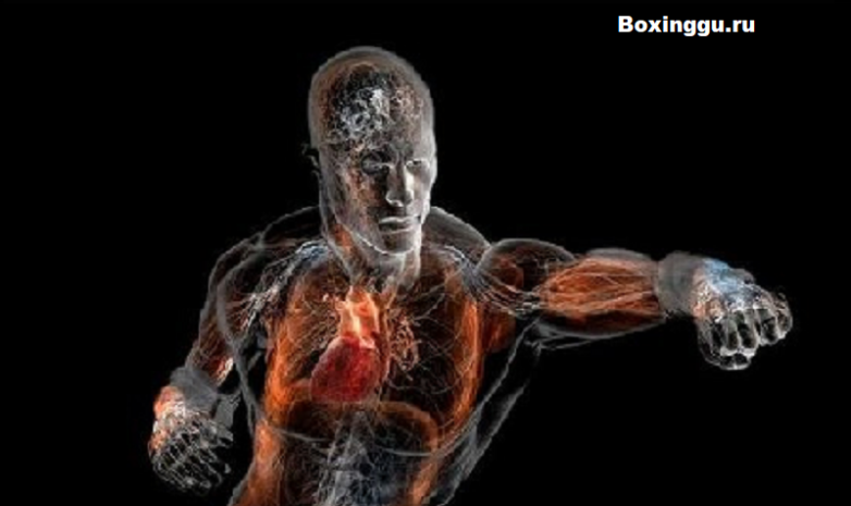 Как тренировать силу удара рукой - постановка и развитие удара