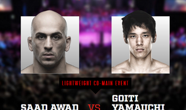 Видео боя Саад Авад - Гоити Ямаути / Bellator 229