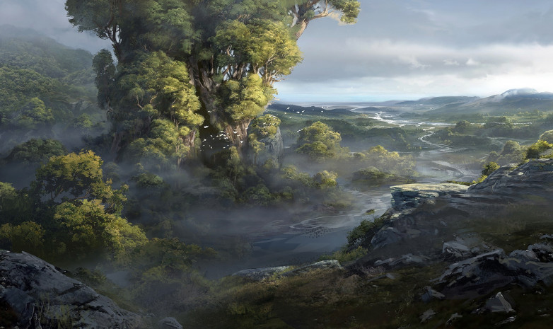 Студия Wild Sheep Studio и их проект WiLD для PlayStation 4 дали о себе знать