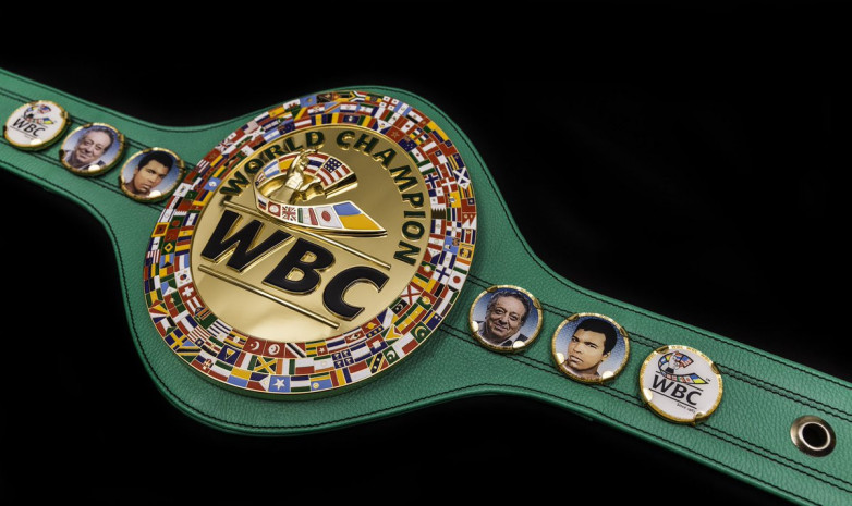 Мальчик, который спас сестру от собаки, получил чемпионский пояс WBC. Фото