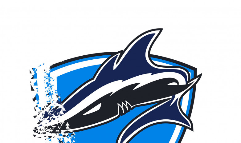 «Vega Squadron Academy» покинули CTRL PLAY LEAGUE
