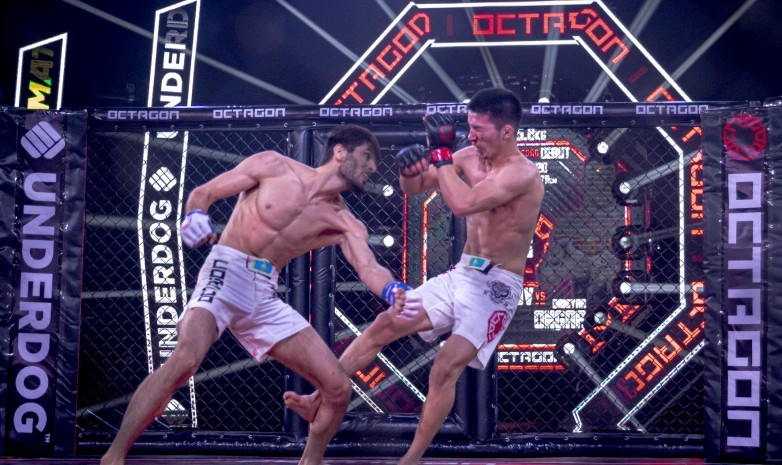 Octagon 15 турнирі қалай өтті