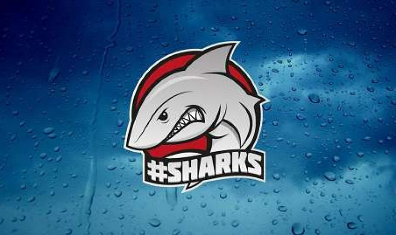 «Pancc» вернулся в основной состав «Sharks»