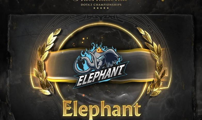 The International 11: «Elephant» Қытай аймағы бойынша іріктеуде жеңіске жетті