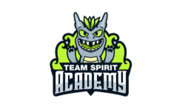 «Fl4MUS» и «T4RG3T» покинули «Spirit Academy»