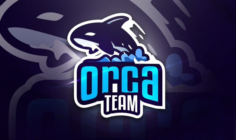 Игроков «Team Orca» и «Apex» пожизненно забанили на турнирах от Valve