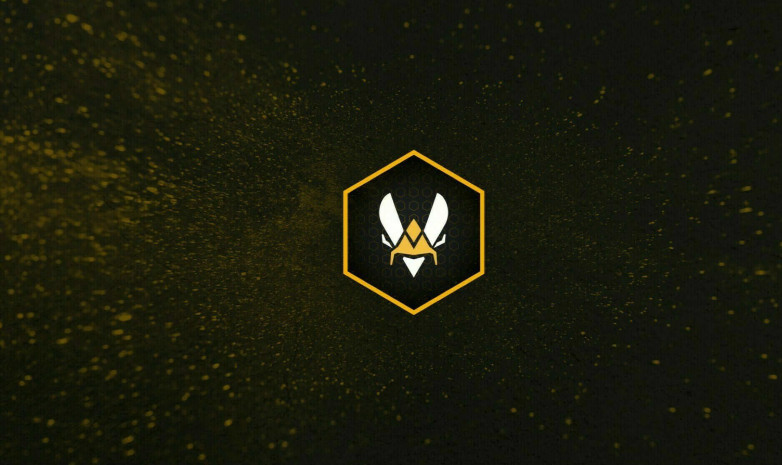 Team Vitality планируют заменить misutaaa