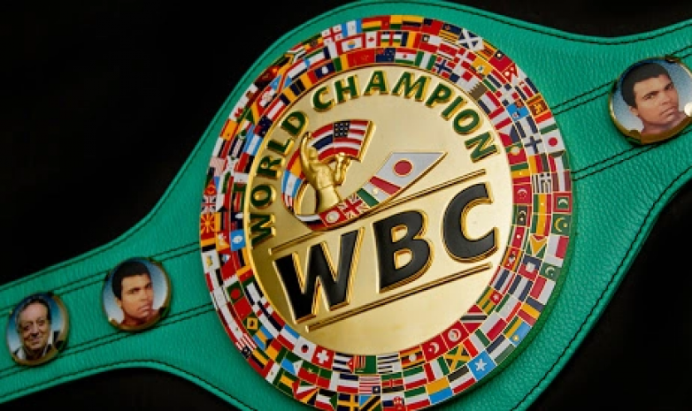 WBC выступил с заявлением о трансгендерах в боксе