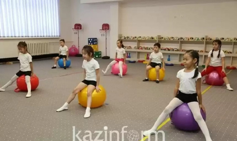 Депутат Артспорт жобасы аясындағы кемшіліктерді айтты