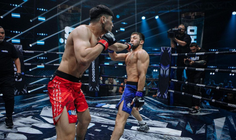 Nomad Fighting Championship жаңа турнирден видео жариялады