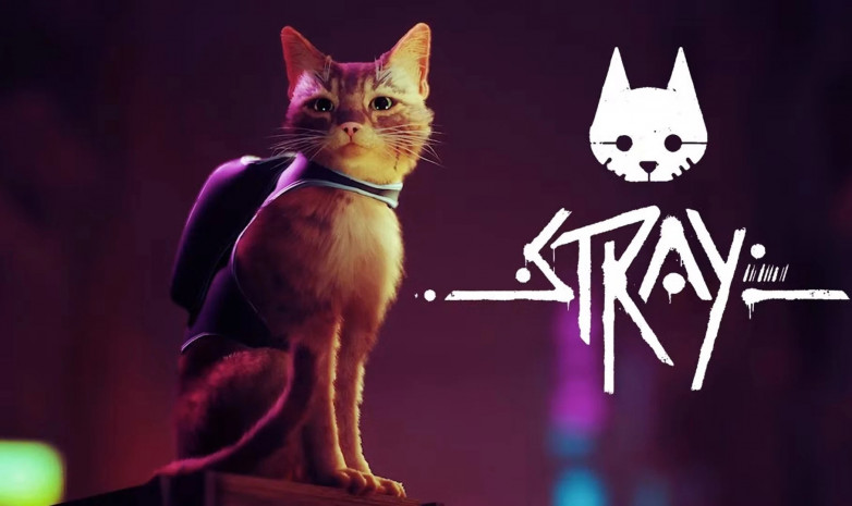 Stray получила возрастной рейтинг для Xbox