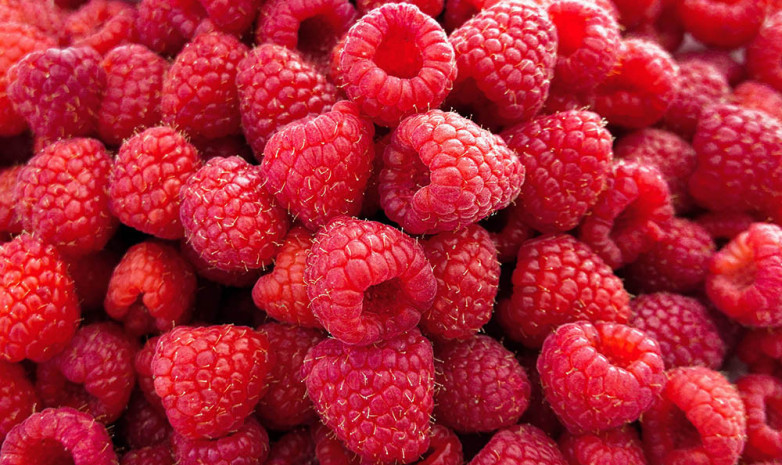 Чем полезна малина?