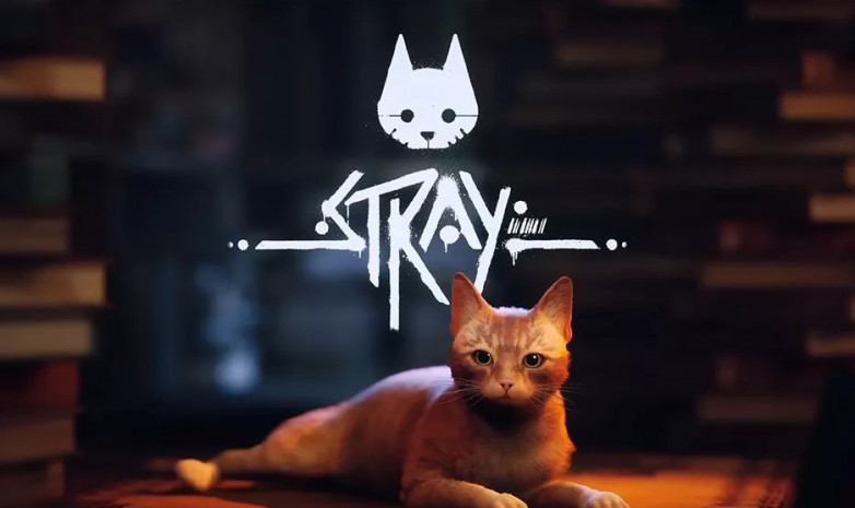 Stray уже вышла на Xbox Series X/S и Xbox One