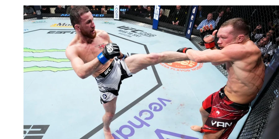 Казахстанский чемпион сделал прогноз на бой Ян — Двалишвили