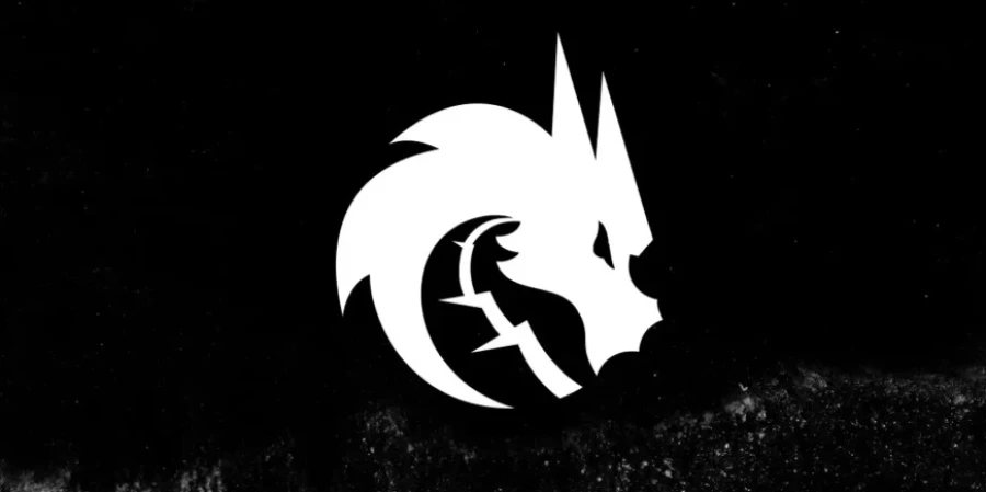 Участники Team Spirit дали советы по вардингу в Dota 2