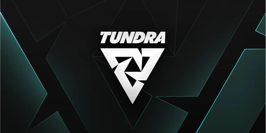 Tundra Esports расправилась с PARIVISION на DreamLeague Season 24