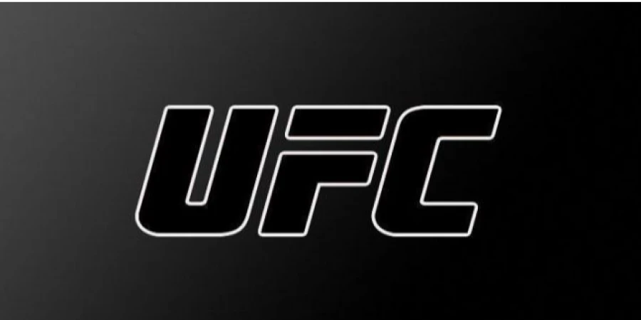 Опубликован новый постер к UFC 311