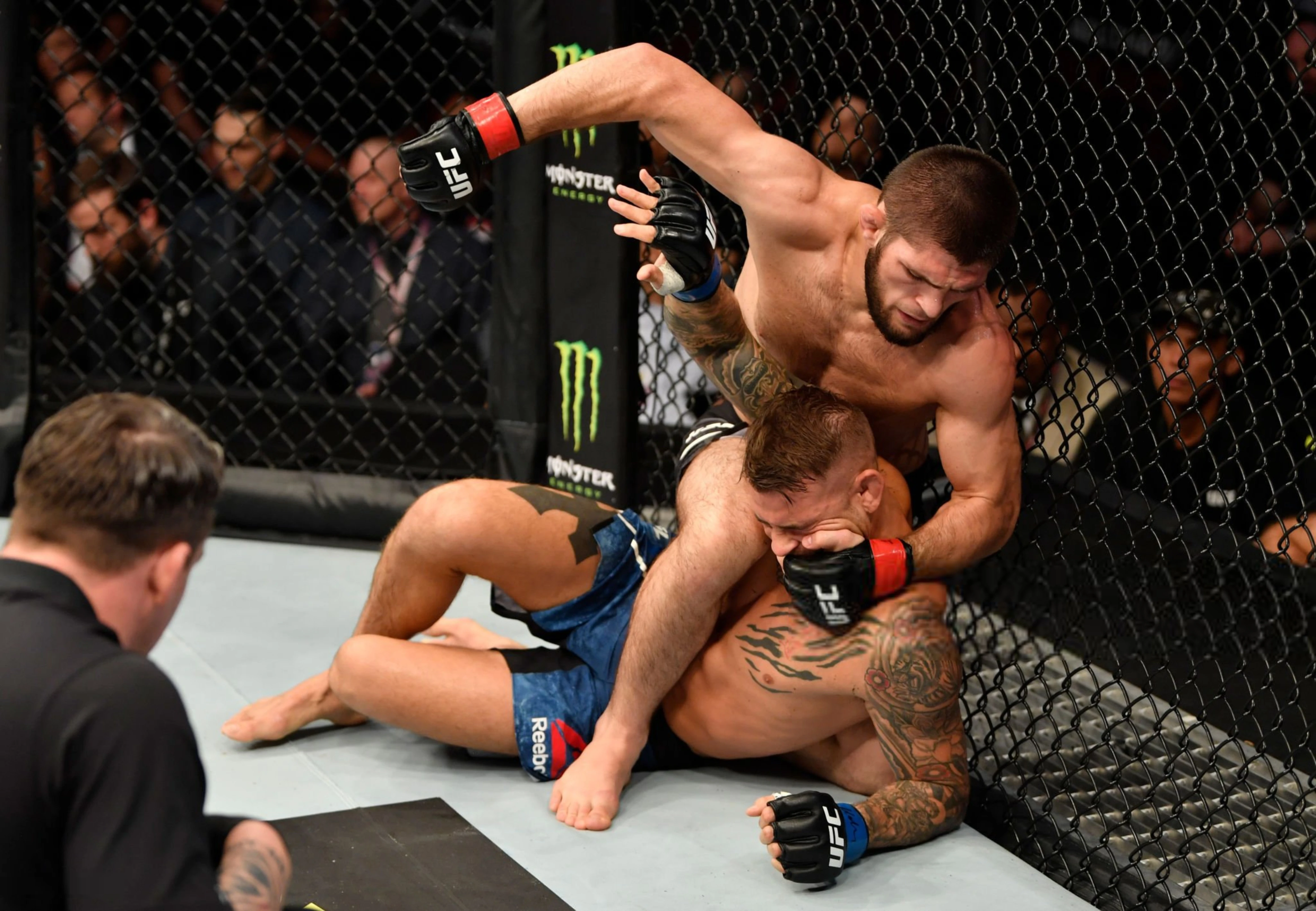 Лучшие бойцы UFC. Хабиб Нурмагомедов — непобежденный чемпион