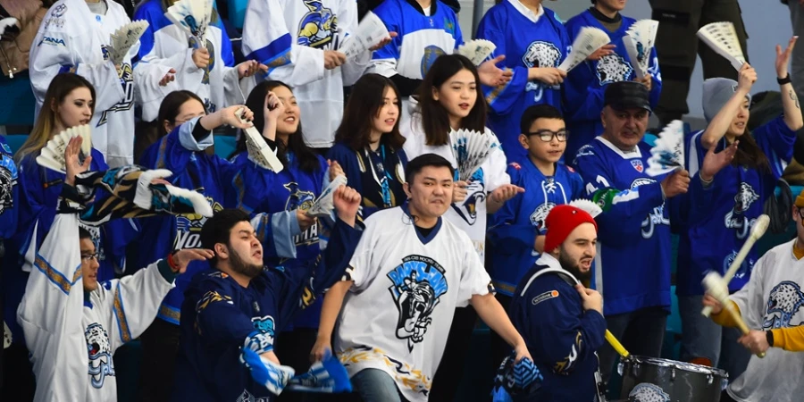 Пьяный фанат «Барыса» получил 15 суток после дебоша на матче КХЛ