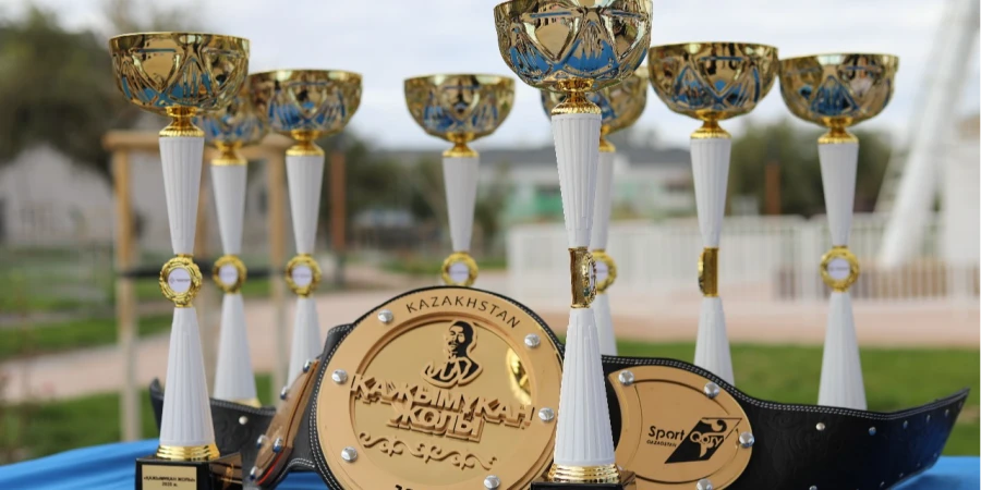 В регионах Казахстана прошли этапы турнира «Қажымұқан жолы»