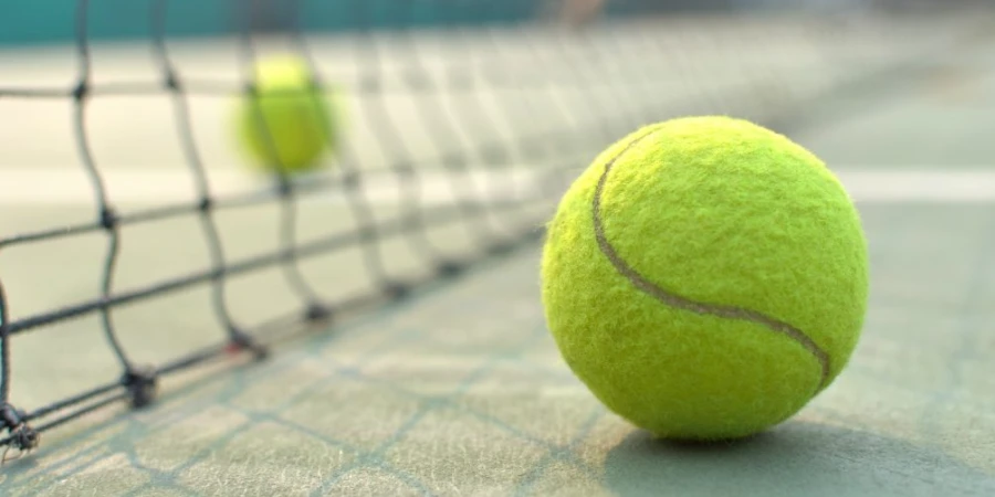 Продолжается масштабное расследование связанных со ставками преступлений