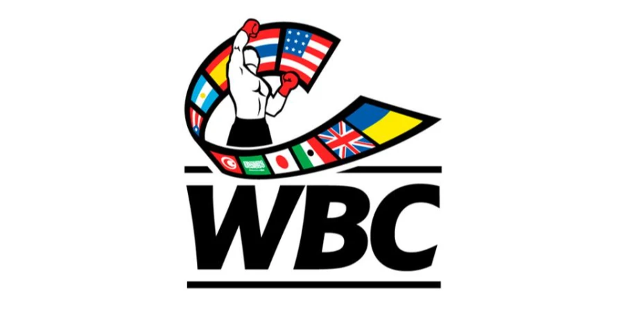 WBC рейтингі: Қазақстандық боксшылардың орындары белгілі болды