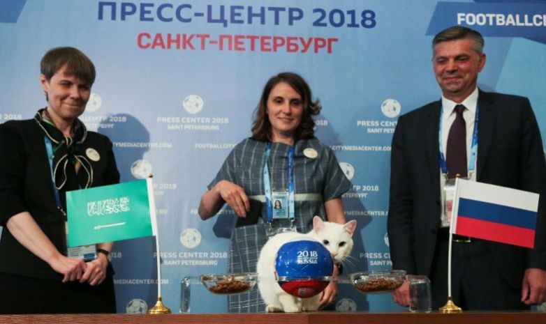Әлем чемпионатында сәуегей мысық пайда болды