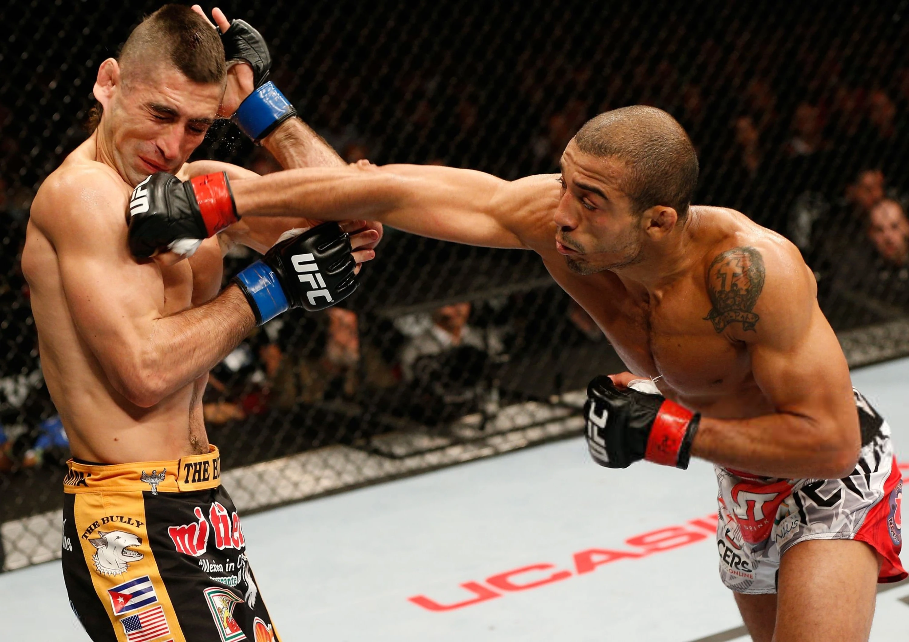 Лучшие бойцы UFC. Жозе Альдо — несломленный воин