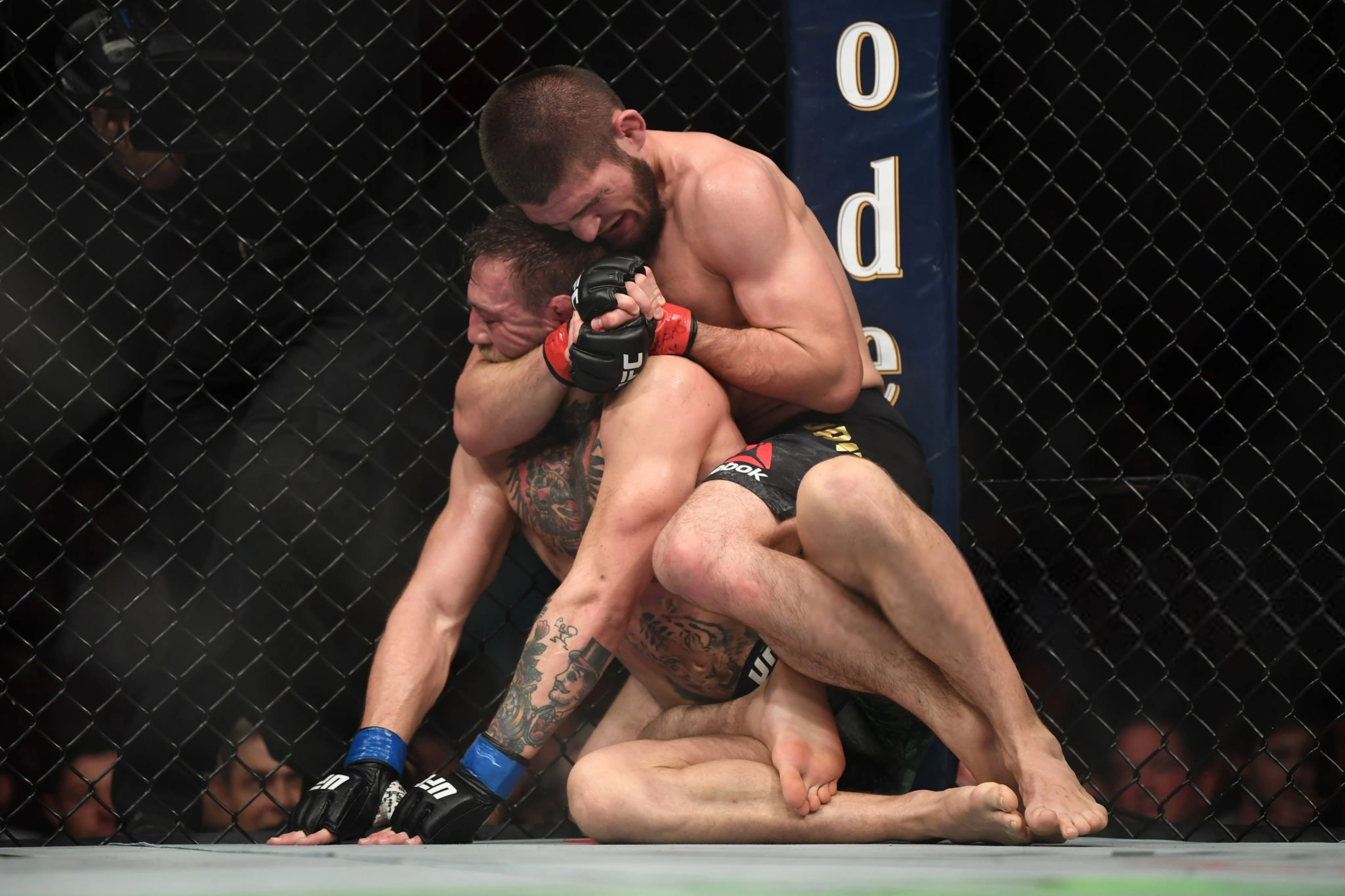 Лучшие бойцы UFC. Хабиб Нурмагомедов — непобежденный чемпион