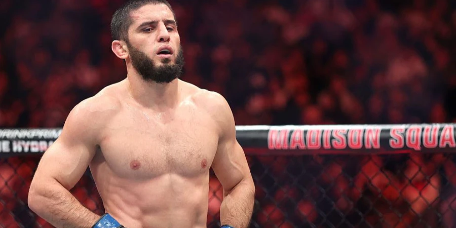 Махачеву предсказали уверенную победу над непобежденным бойцом UFC