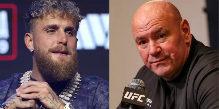 Пол: «Уайт недостаточно умен»