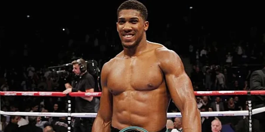 Если Джошуа подтянет борьбу он будет очень хорош в ММА