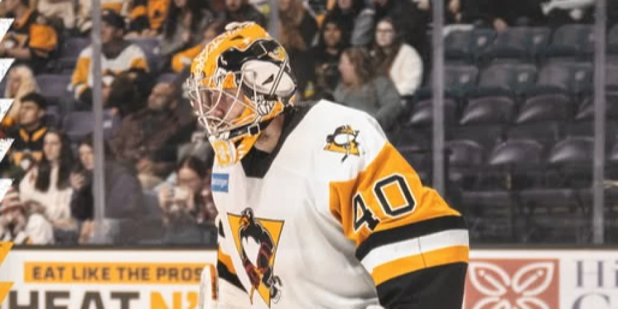 Павленко вновь отправлен в фарм из низшей лиги