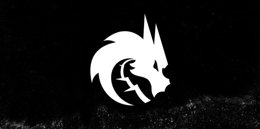 Новый тренер Team Spirit рассказал о коммуникации в команде