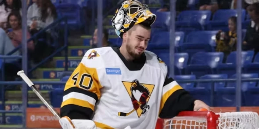 Павленко строит профессиональную карьеру в США