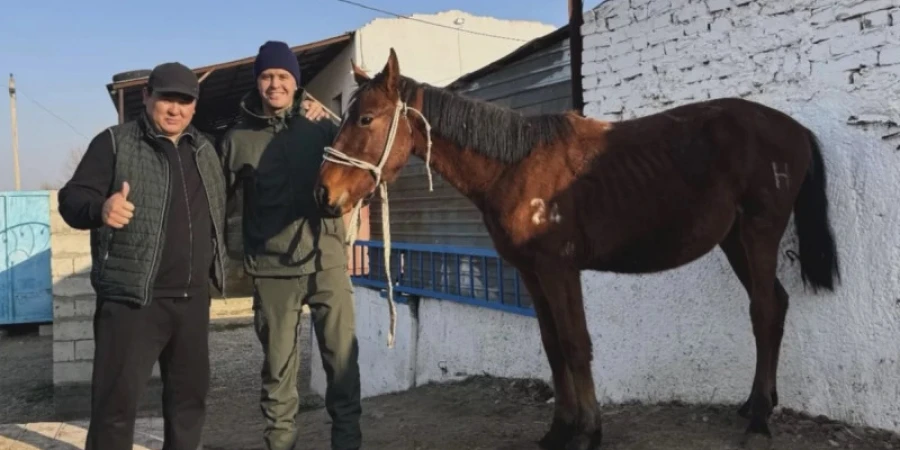 Белгілі көкпаршы ұлттық құрама қақпашысы Мұхамеджан Сейсенге тұлпар сыйлады