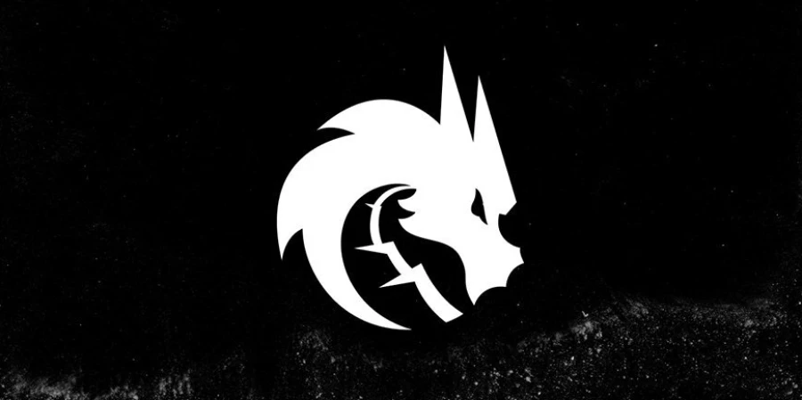 Sheyl рассказал, что происходит с Team Spirit в последних матчах