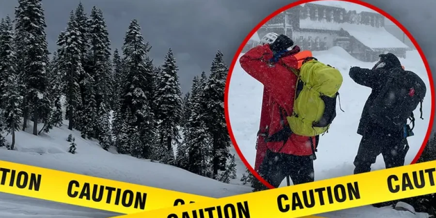 Поездка мечты обернулась катастрофой