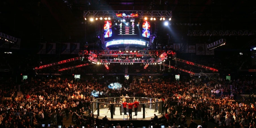 UFC представил официальный постер турнира UFC 324