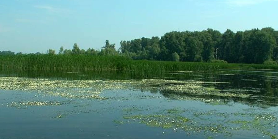 Почему не стоит купаться в водоемах
